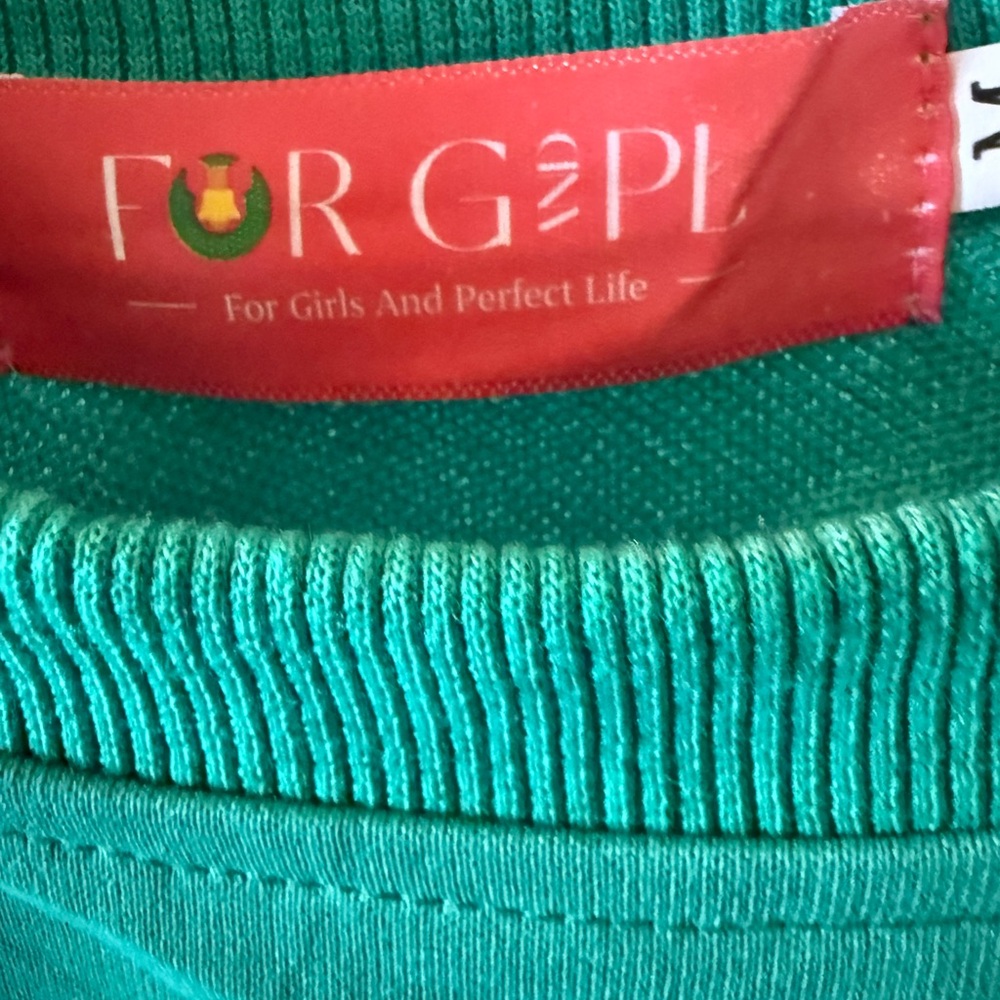 Christmas String Lights With Sequins Green Sweats… - image 4